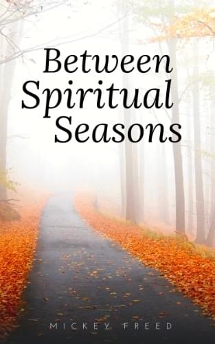 Between Spiritual Seasons book