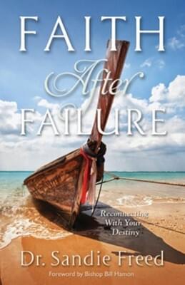 Faith After Failure book